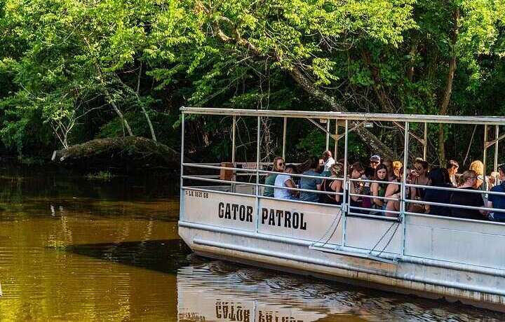 swamp life